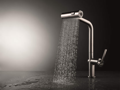 10010019 Pull Down Faucet