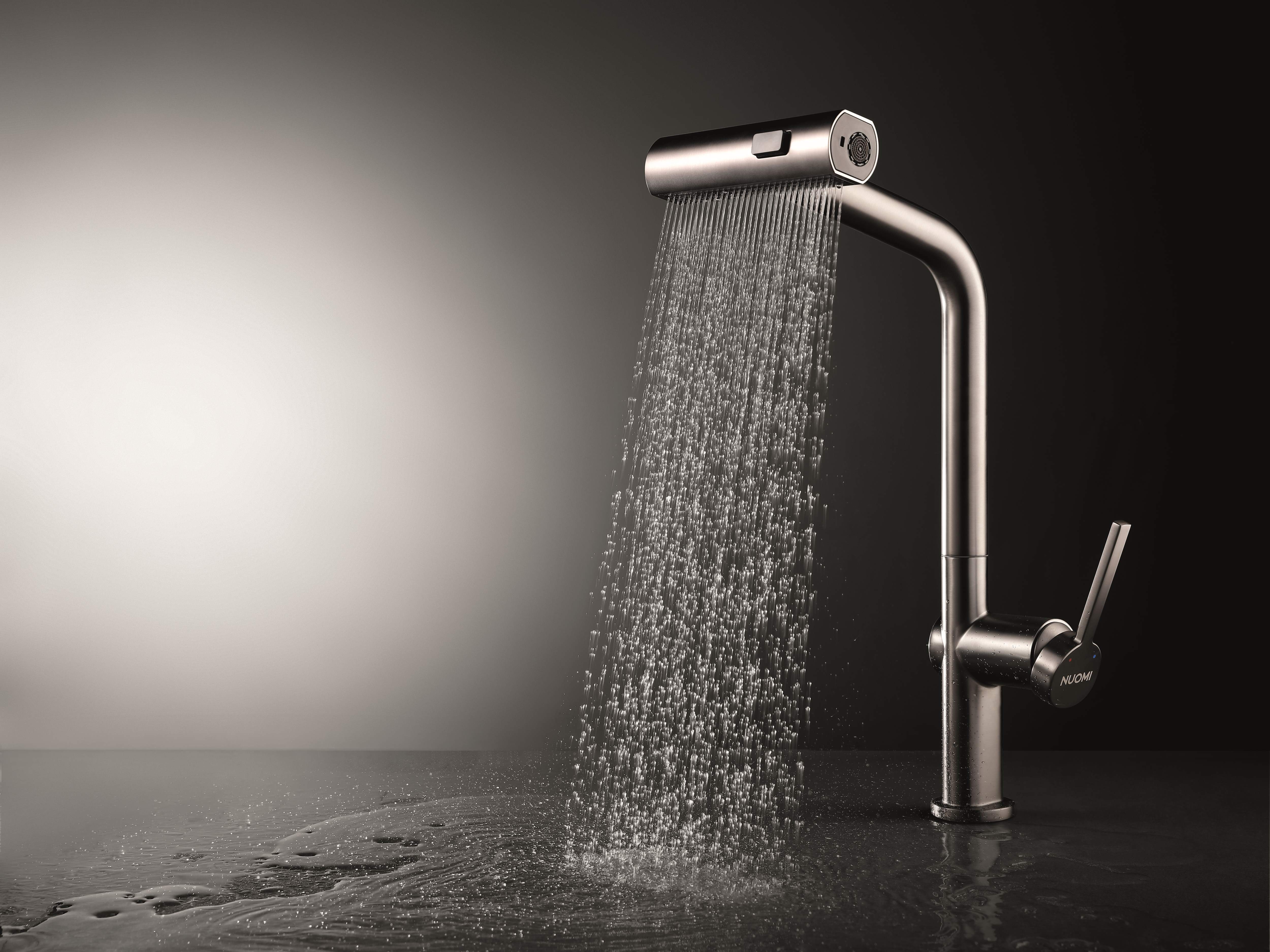 10010019 Pull Down Faucet