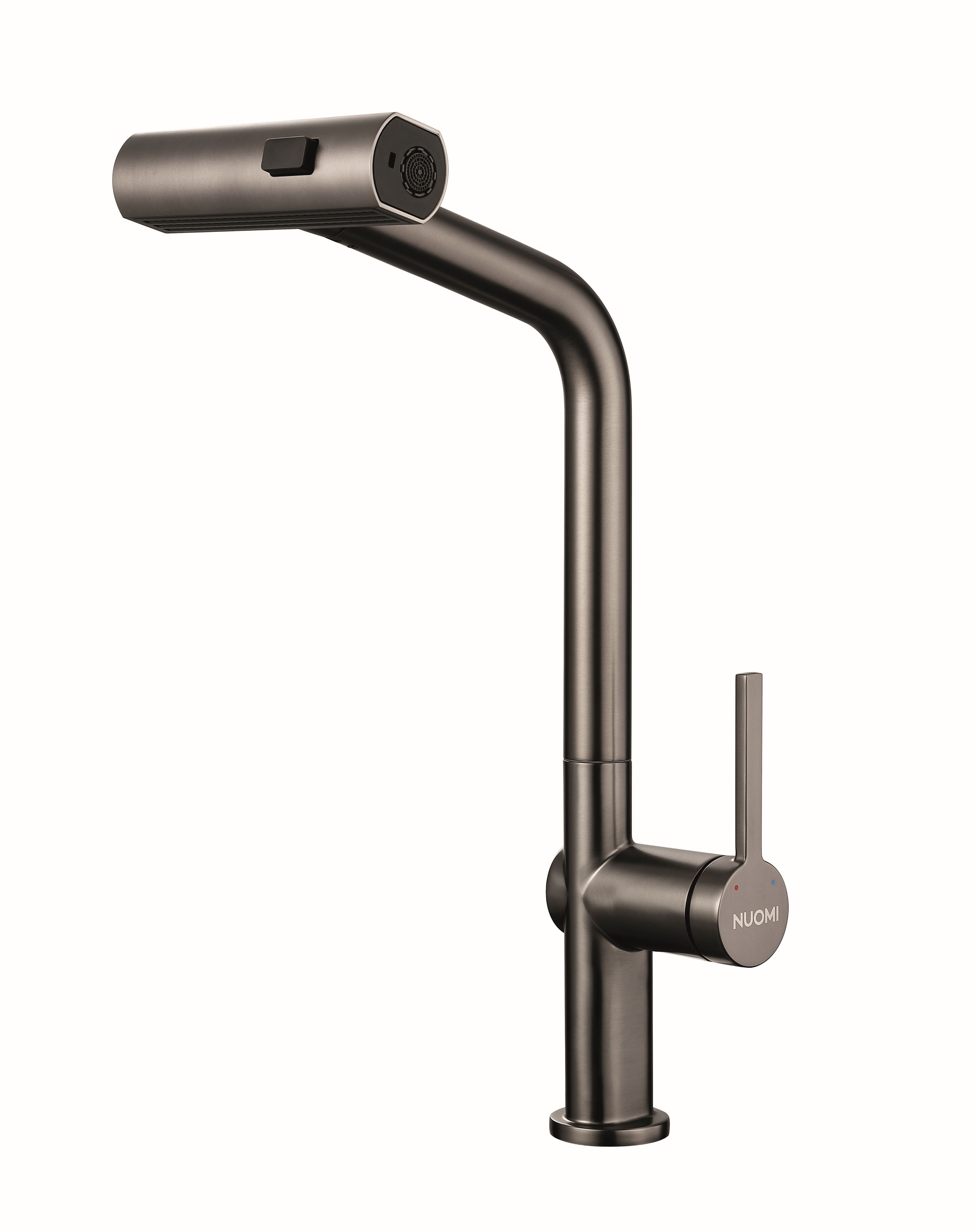 10010019 Pull Down Faucet